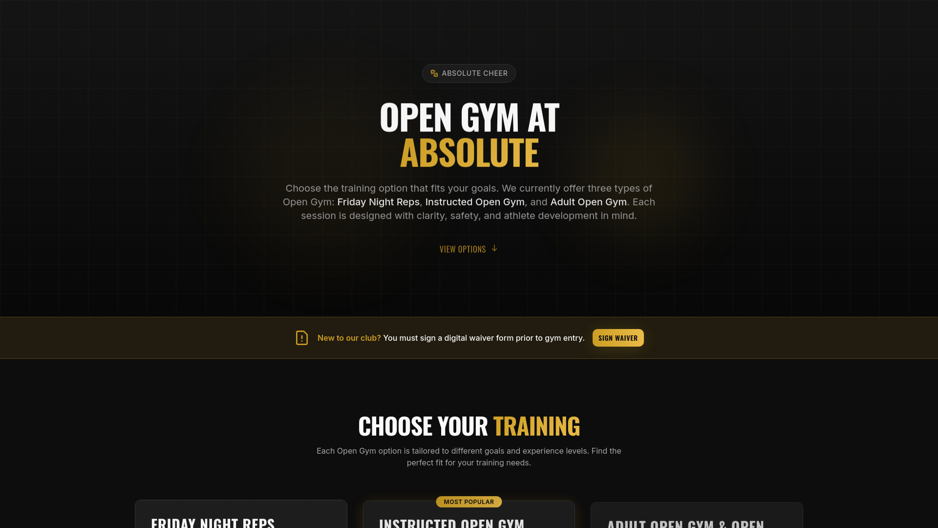 Absolute Cheer Open Gym cover